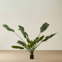Banana Tree 210cm Decorative Plant