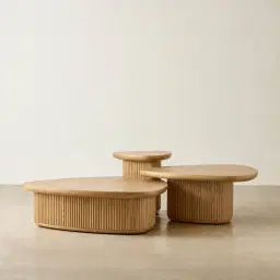 Terra Linea Light Brown Ash Veneer Low Triangular Coffee Table - 110cm