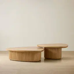 Terra Linea Light Brown Ash Veneer Low Triangular Coffee Table - 110cm