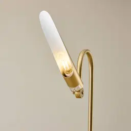 Salinas Metal Floor Lamp