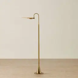 Salinas Metal Floor Lamp