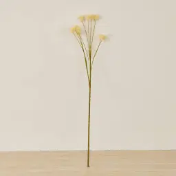 Cream Onion Fruit Stem - Set of 10