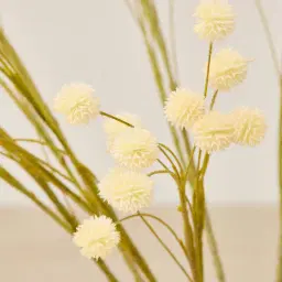 Cream Onion Fruit Stem - Set of 10