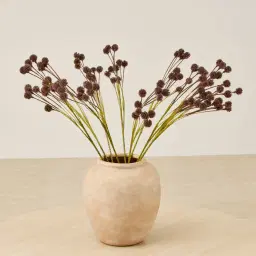 Brown Onion Fruit Stem - Set of 10