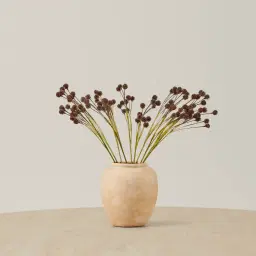 Brown Onion Fruit Stem - Set of 10