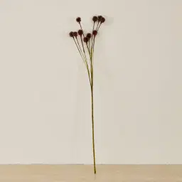 Brown Onion Fruit Stem - Set of 10