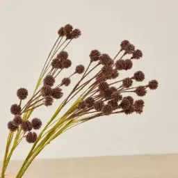 Brown Onion Fruit Stem - Set of 10
