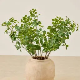 Fig Stem - Set of 10