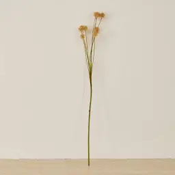 Tan Onion Fruit Stem - Set of 10