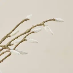 Magnolia Fruit stem - Set of 10