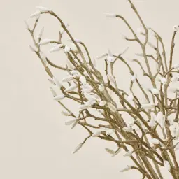 Magnolia Fruit stem - Set of 10
