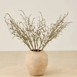 Magnolia Fruit stem - Set of 10