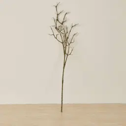 Magnolia Fruit stem - Set of 10
