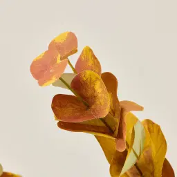 Eucalyptus Stem - Set of 10