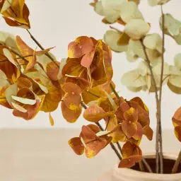 Eucalyptus Stem - Set of 10