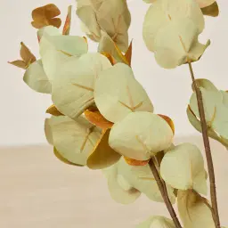 Eucalyptus Stem - Set of 10