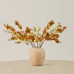 Eucalyptus Stem - Set of 10