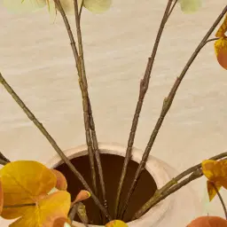 Eucalyptus Stem - Set of 10