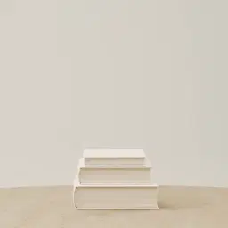 White Canvas Book Storage Box - Set of 3