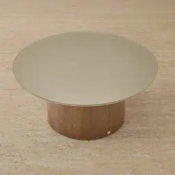 Felina Brown Oak Veneer Coffee Table with Champagne Gold Glass Top - 89x41cm