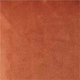 Remi II Rust Velvet Cushion