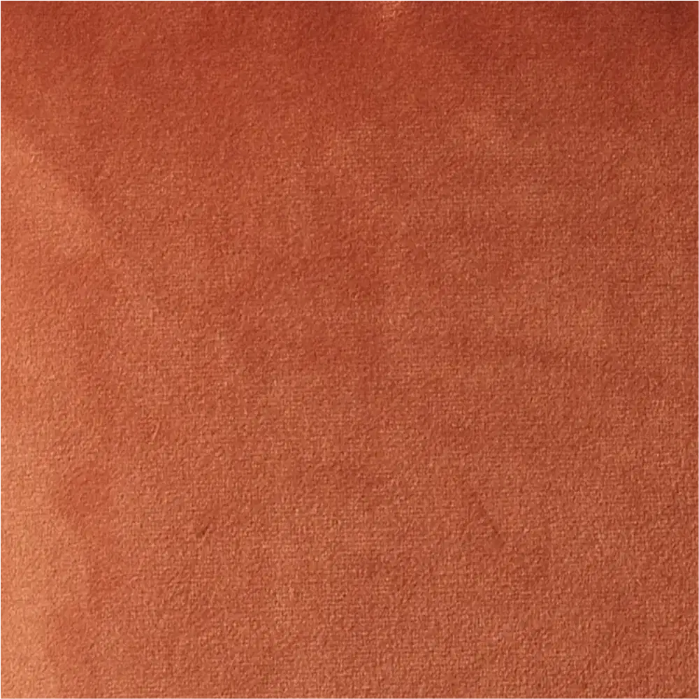 Remi II Rust Velvet Cushion