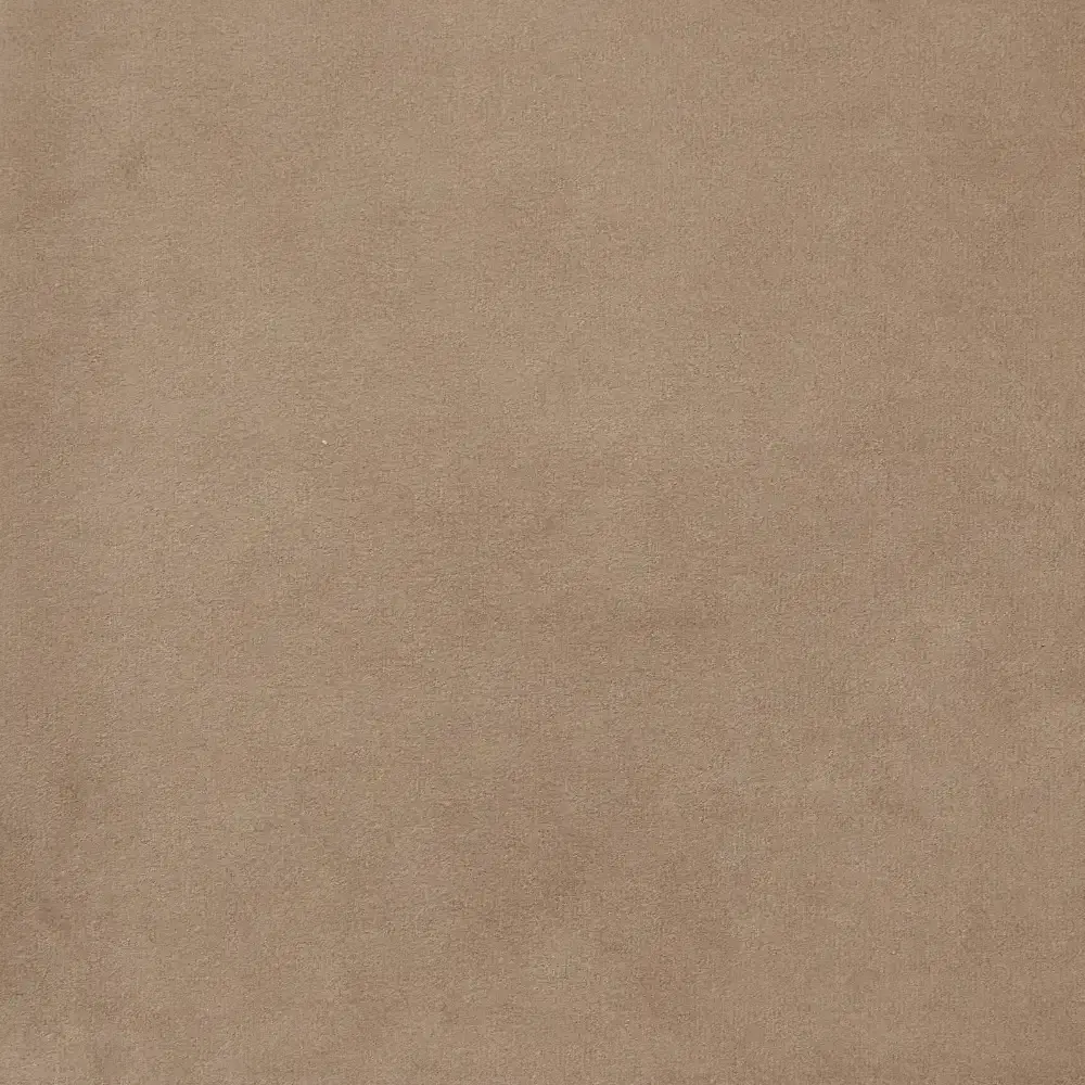 Remi II Beige Velvet Cushion