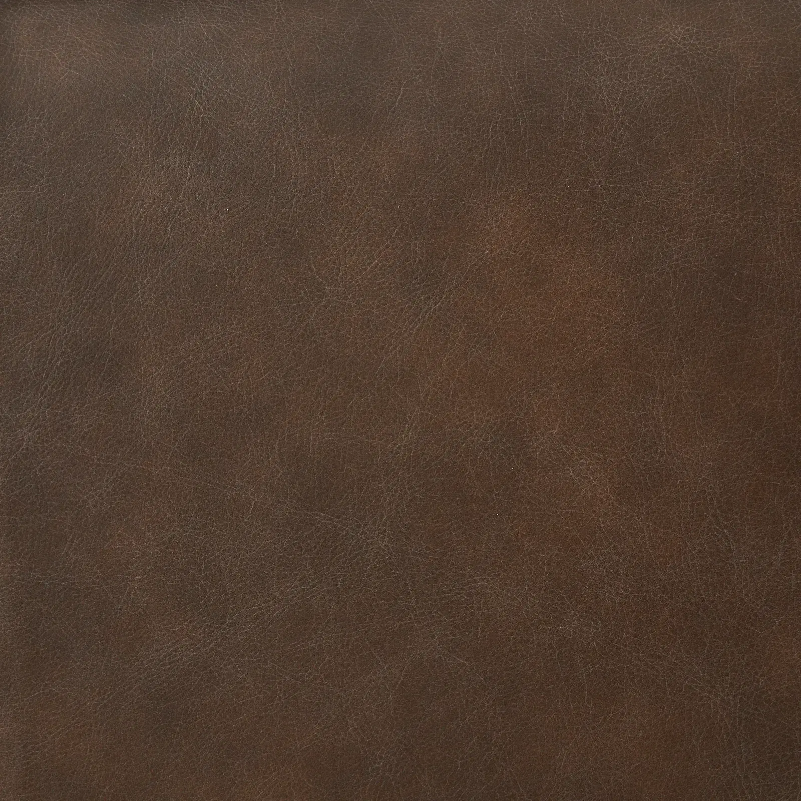 Lainey Chocolate Brown Modular Leather Sofa without Ottoman