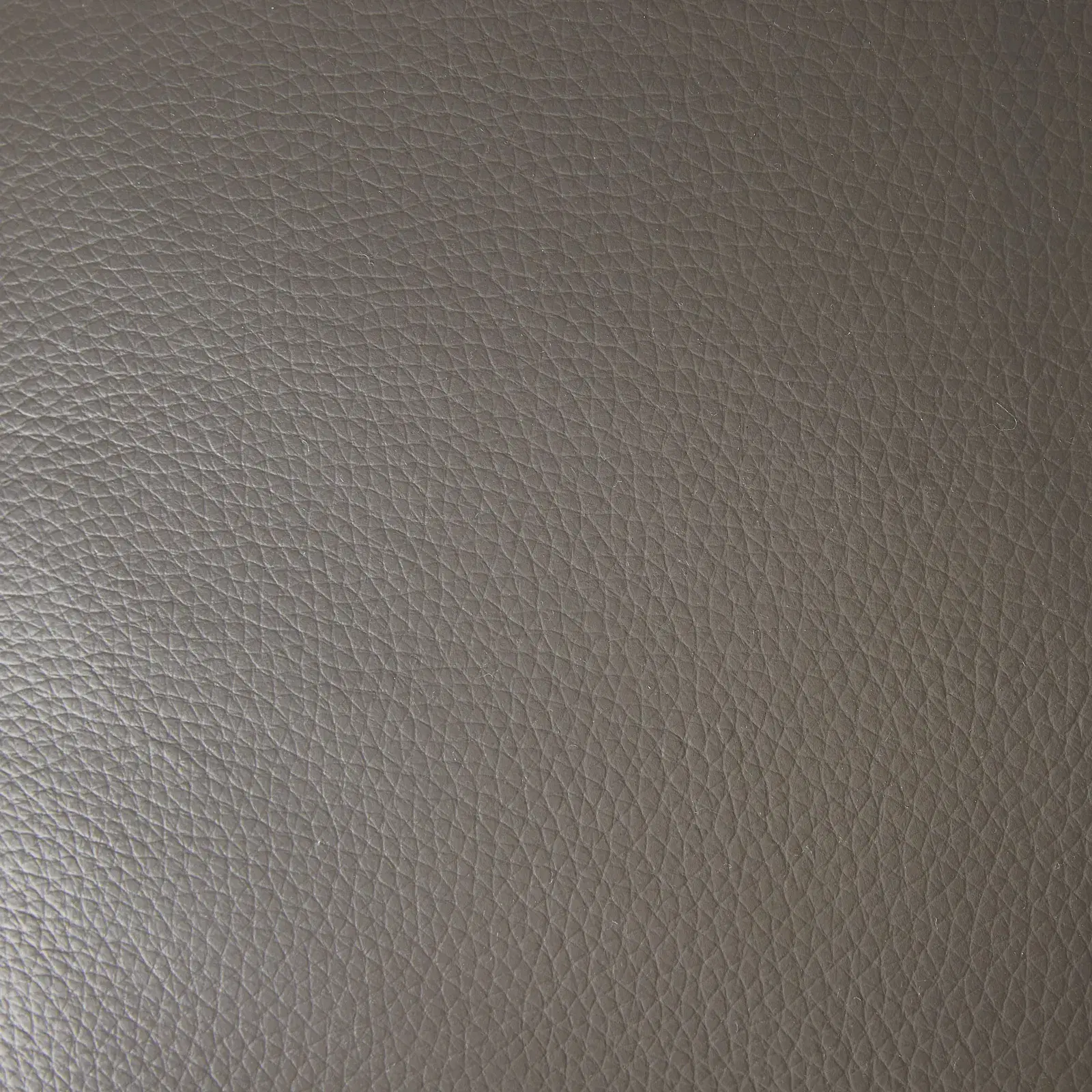 Lennox Warm Stone Grey Leather 2-Seater Sofa - Black Legs