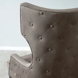 Berdine Mushroom Velvet Occasional Chair