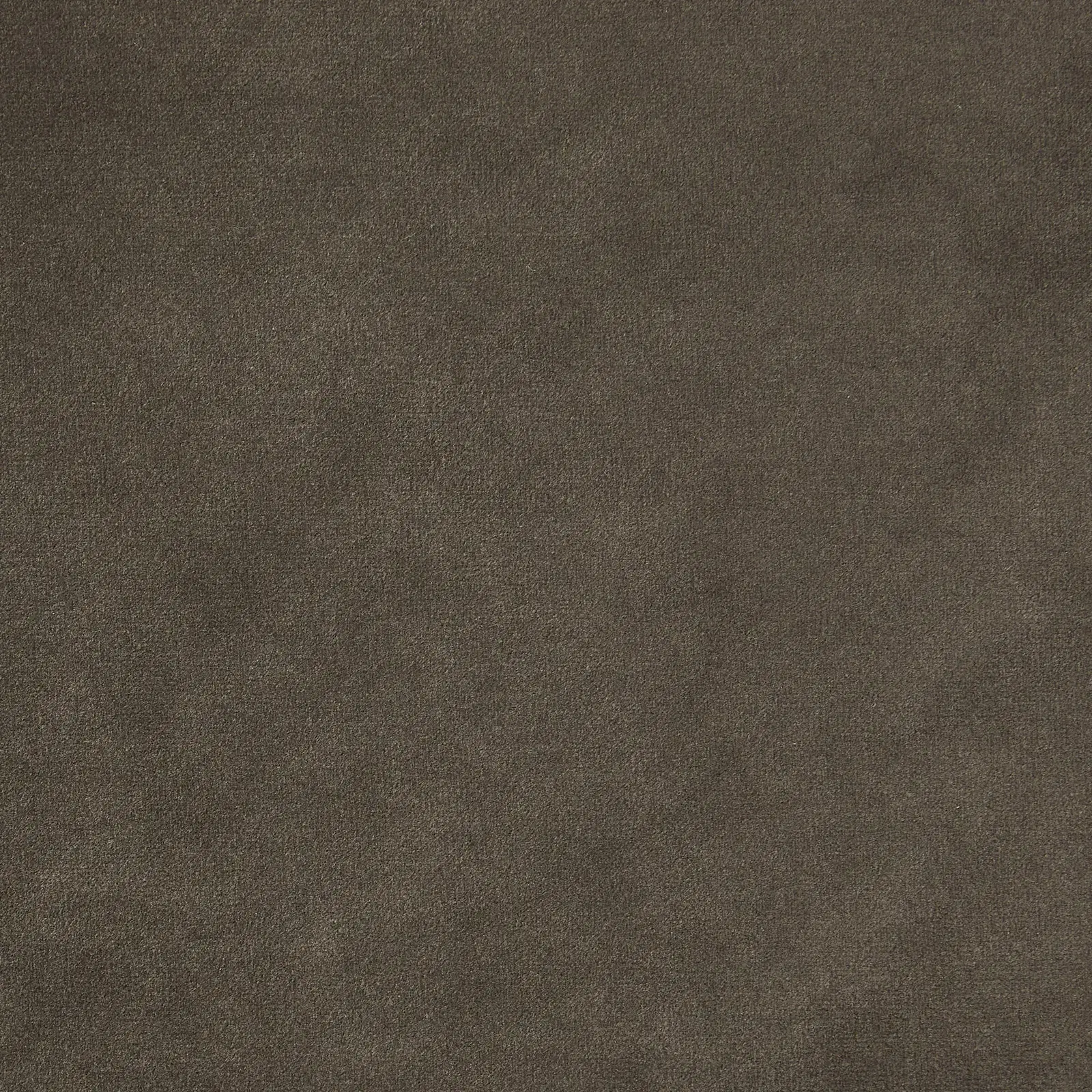 Astoria III Mushroom Velvet Occasional Chair