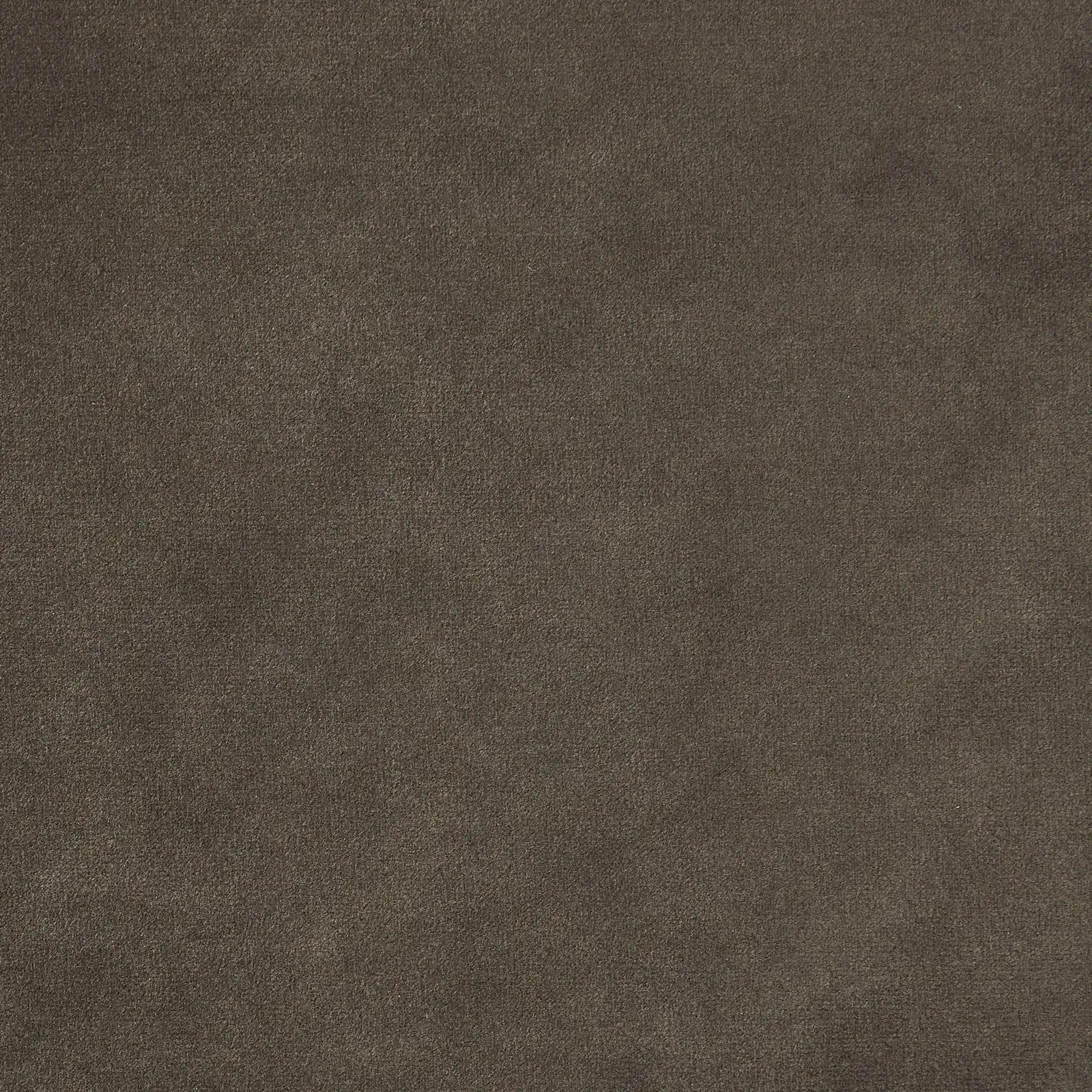 Gertrude Mushroom Velvet King Bed - Brushed Champagne Gold Stainless Steel Frame